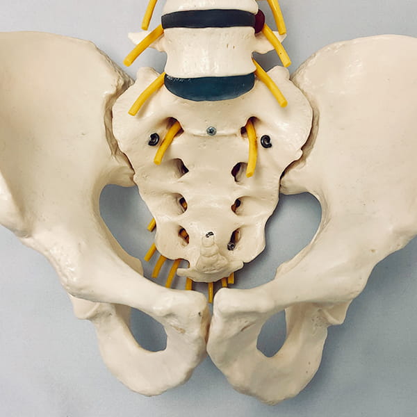 産後・育児骨盤矯正